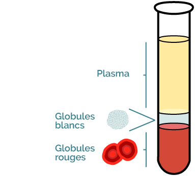 tube de PRP plasma riche en plaquette le plasma riche en plaquette