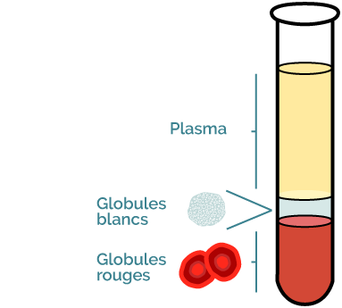 le plasma riche en plaquette 